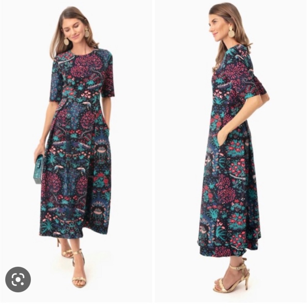 Tuckernuck Midnight Garden Dress- Never Been Worn